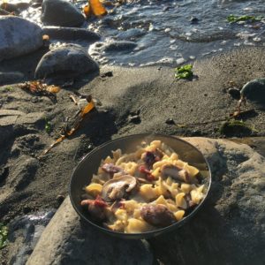best hiking recipes - stroganoff