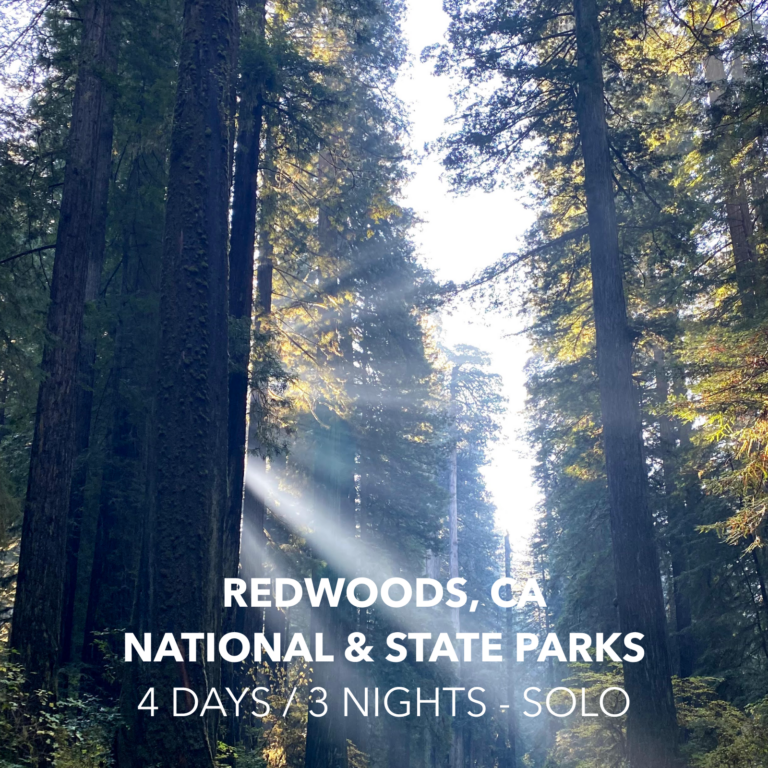 4 day camping meal ideas - redwoods