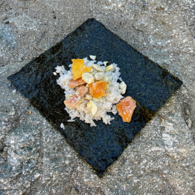 camping sushi recipe - tropic