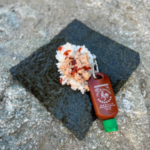 gourmet backpacking meal plan - sushi - spicy tuna
