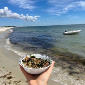 beach food - musubi bowl
